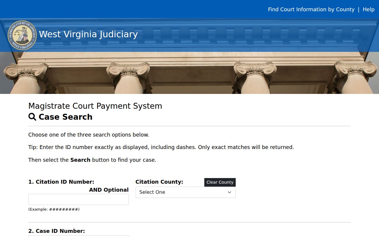 Tyler County court docket citation and case ID search fields